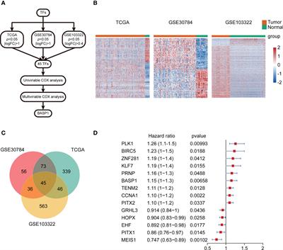 BASP1 is a prognostic biomarker associated with immunotherapeutic response in head and neck squamous cell carcinoma
